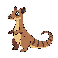 pangolin