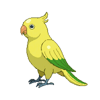 parakeet