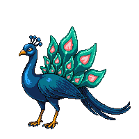 peacock