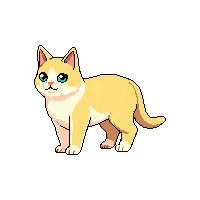 persian cat