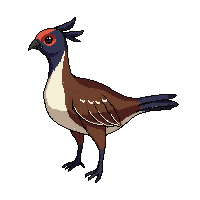 pheasant