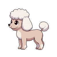 poodle