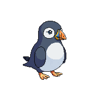 puffin