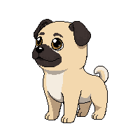 pug