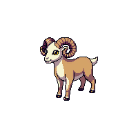ram