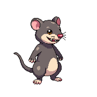 rat