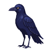 raven