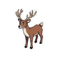 reindeer