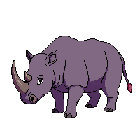 rhinoceros