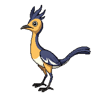 roadrunner