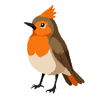 robin