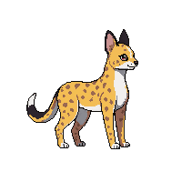 serval
