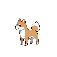 shiba inu