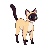 siamese cat