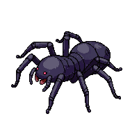 tarantula