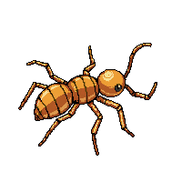 termite