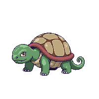 tortoise