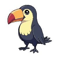 toucan