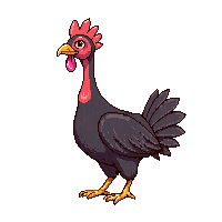 turkey