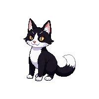 tuxedo cat