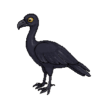 vulture