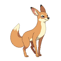 wallaby