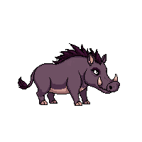 warthog