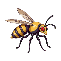 wasp