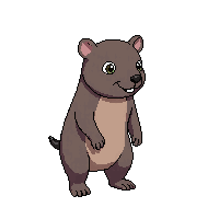 wombat