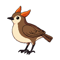 wren