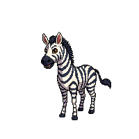 zebra