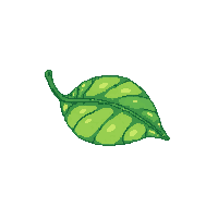 nature small green leaf wings