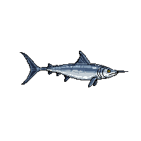 swordfish long nose silver fast