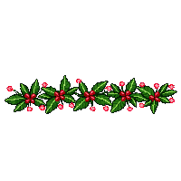 xmas christmas separator red green 038 v2 2026 03 06T21 08 30