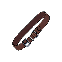 belt leather