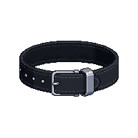 black belt leather