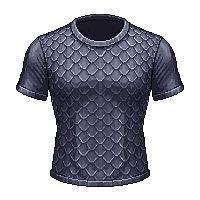 chainmail shirt