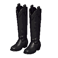 black cowboy boots