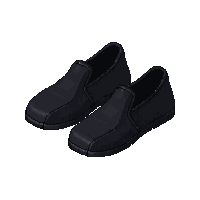 black slippers