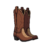 cowboy boots