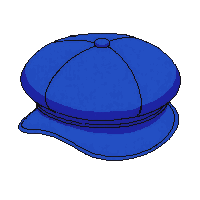 blue newsboy cap