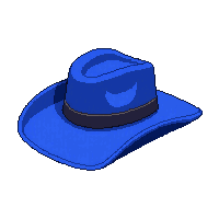 blue stetson hat
