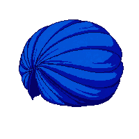 blue turban