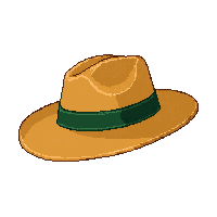 panama hat