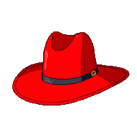 red cowboy hat
