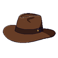 stetson hat