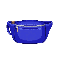 blue fanny pack