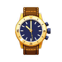 wristwatch