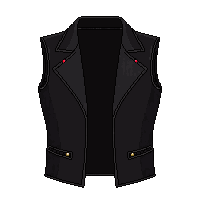 black vest leather