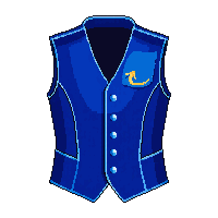 blue vest leather